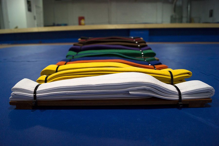 Il Karate e i bambini le cinte distinguono l'esperienza Il Karate e i bambini le cinte distinguono l'esperienza