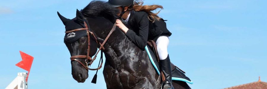 Preparazione Atletica Del Cavaliere Concorso Completo Dressage Tialleno.it